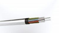 Кабель АКРВБбГ 10х10