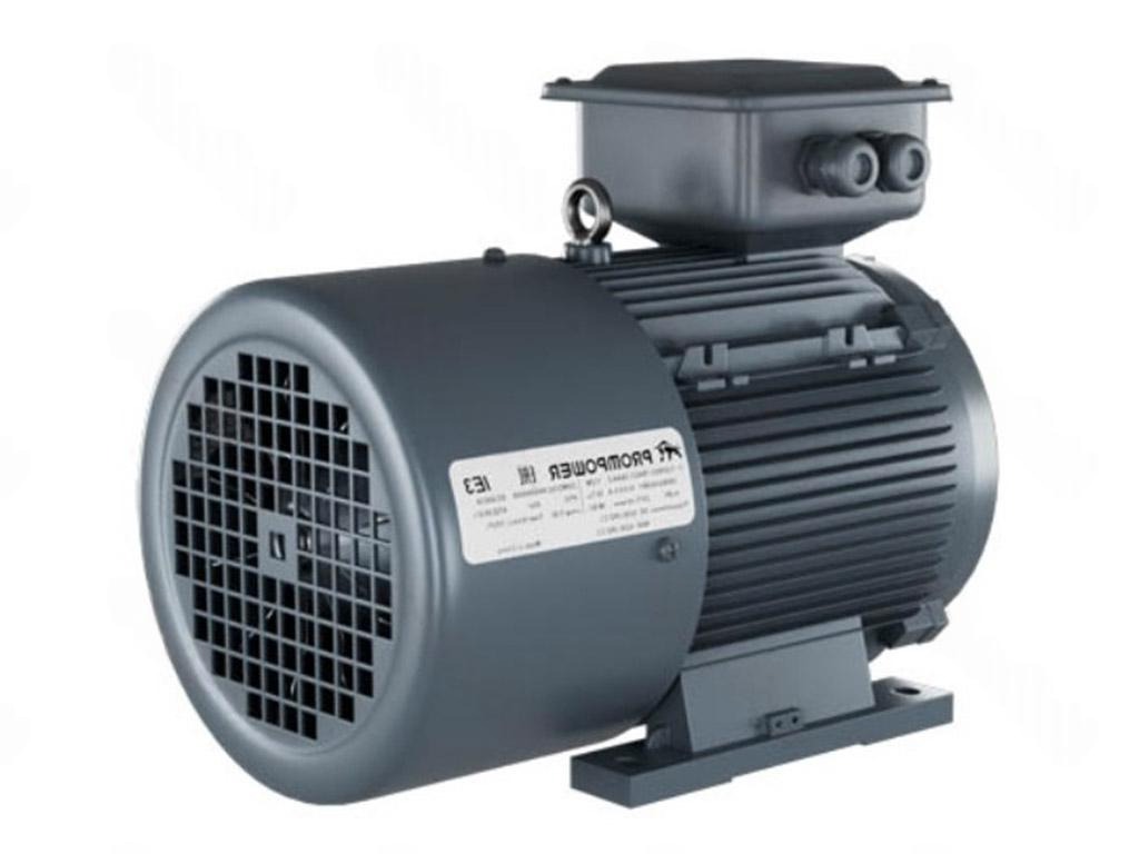 Электродвигатель 1LE9003-2CC23-3AA4 PROMPOWER